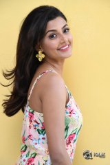 Anisha Ambrose At Fashion Designer Movie Success Meet